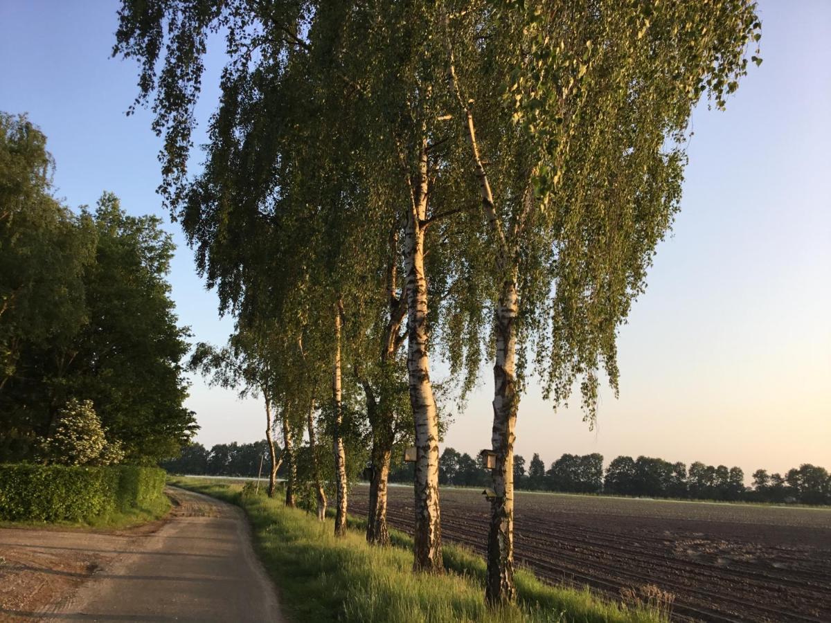 B&B Op 'T Eikenschoor Soerendonk Экстерьер фото